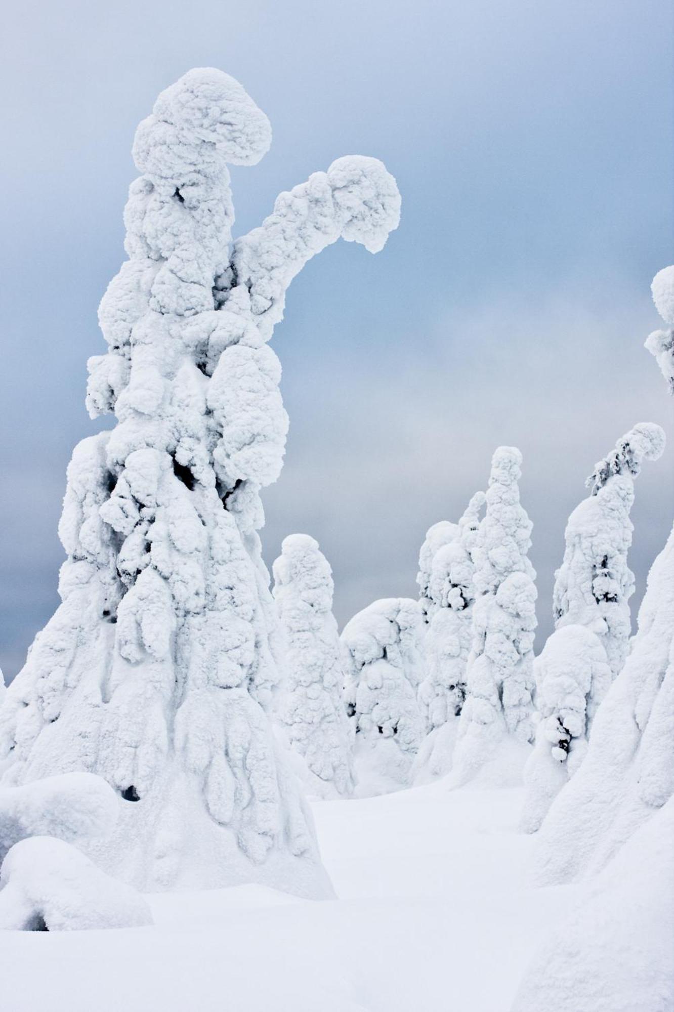 Lejlighed Rovakatu Rovaniemi